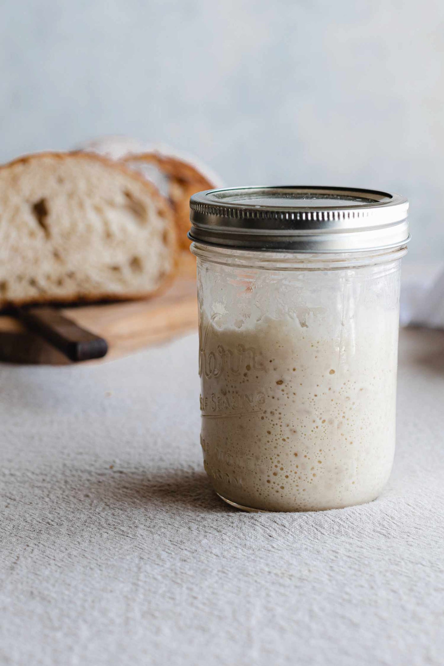 Sourdough Starter