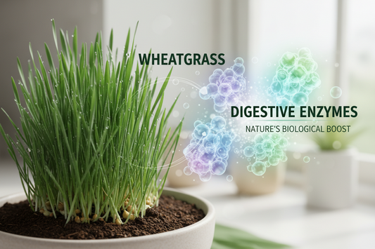 Enzymes and Wheatgrass