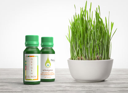 Wheatgrass Shots